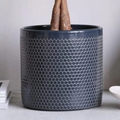 Money Tree House Plant In Capri Pot 27 Money Tree House Plant In Capri Pot -Elements Bathroom Deals Store 30875441 alt02