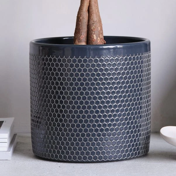 Money Tree House Plant In Capri Pot 8 Money Tree House Plant In Capri Pot - Image 8