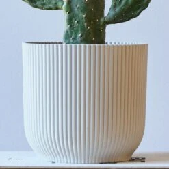 Cowboy Cactus House Plant In Elho Pot -Elements Bathroom Deals Store 30875577 alt02