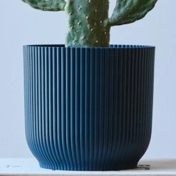 Cowboy Cactus House Plant In Elho Pot -Elements Bathroom Deals Store 30875580 alt01