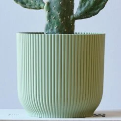 Cowboy Cactus House Plant In Elho Pot -Elements Bathroom Deals Store 30875582 alt01