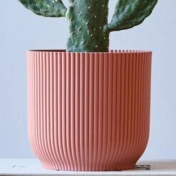 Cowboy Cactus House Plant In Elho Pot -Elements Bathroom Deals Store 30875584 alt01