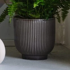 Air Purifying Potted House Plant Bundle 14 Air Purifying Potted House Plant Bundle -Elements Bathroom Deals Store 30875923 alt06