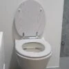 White Oak Effect Toilet Seat